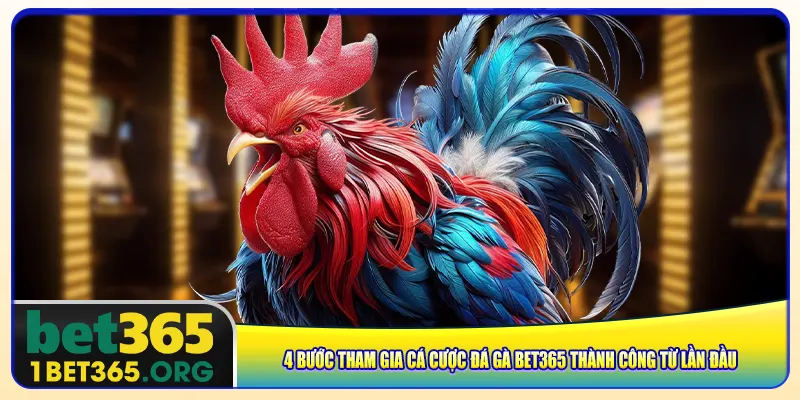 4 bước tham gia cá cược đá gà bet365 thành công từ lần đầu