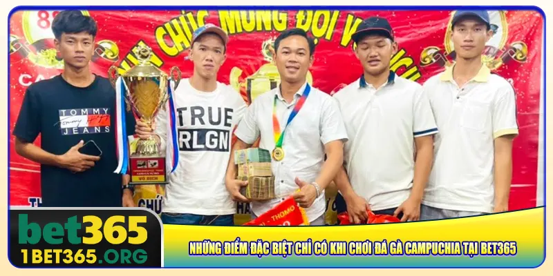 Những điểm đặc biệt chỉ có khi chơi đá gà Campuchia tại bet365