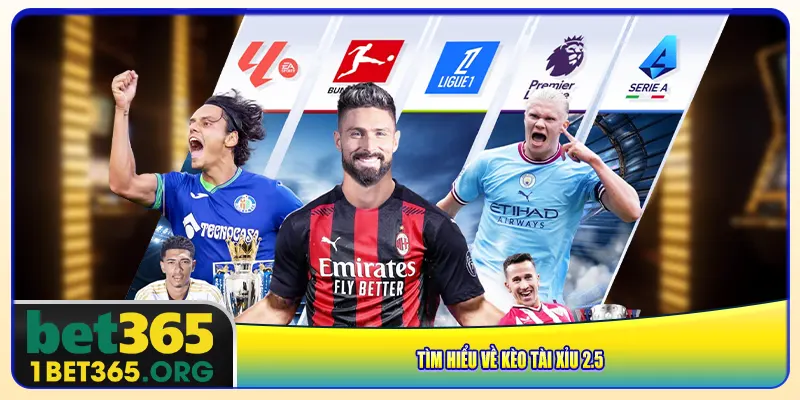 Tìm hiểu về kèo tài xỉu 2.5