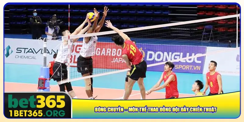 Bóng chuyền – Môn thể thao đồng đội đầy chiến thuật